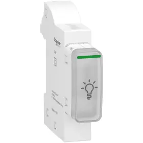 EVLink Wallbox Plus – station charge – 1p T2S – mono – 32A/7kW filtre  RDC-DD TIC –